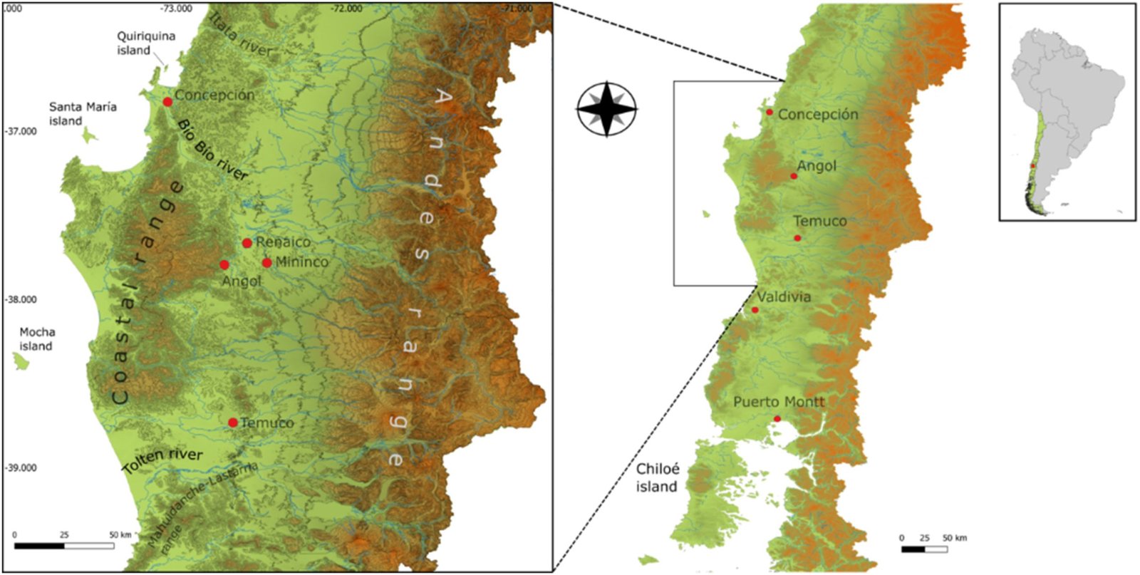 The culinary significance of maize in pre-colonial Chile