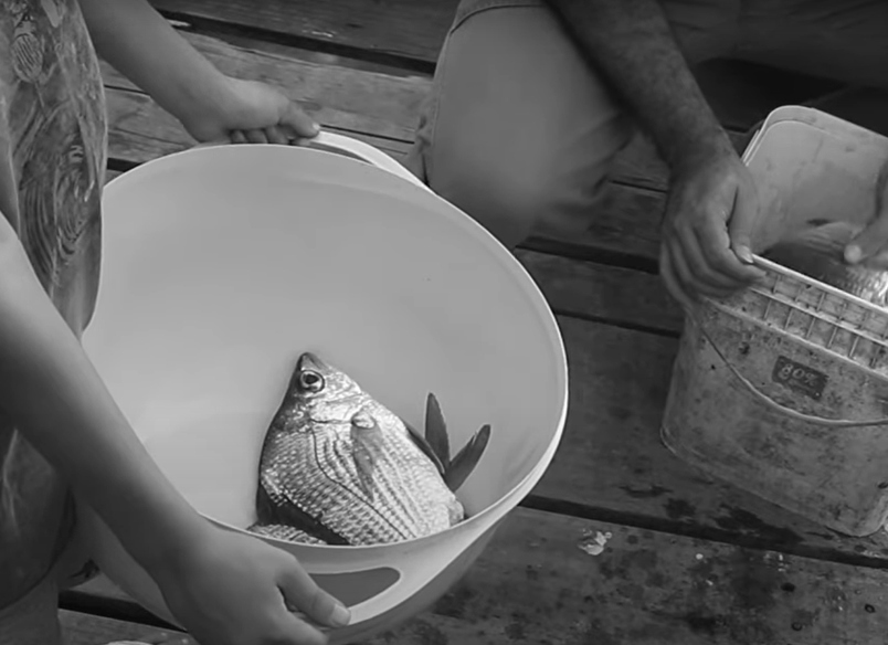 SEA MEMORIES – A FILMOGRAPHY ON SMALL-SCALE FISHING IN BABITONGA BAY